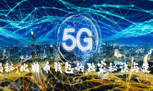 专家揭秘:比特币钱包的独家秘诀与使用指南