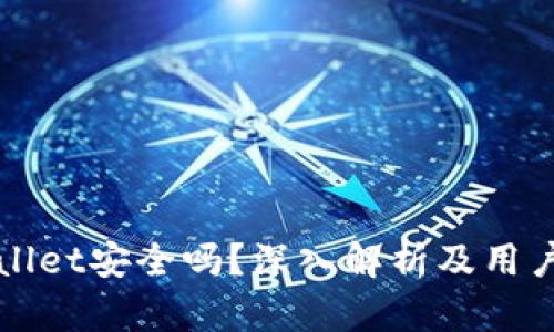 TPWallet安全吗?深入解析及用户反馈
