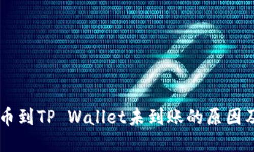 交易所提币到TP Wallet未到账的原因及解决办法