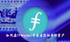 如何在TPWallet中查看您的币
