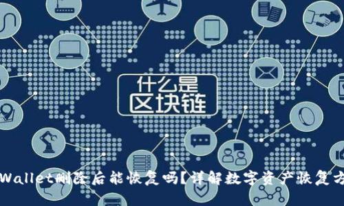 TPWallet删除后能恢复吗?详解数字资产恢复方法