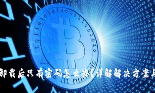 TPWallet卸载后只有密码怎么办？详解解决方案与常见问题