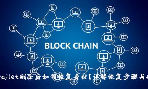tpwallet删除后如何恢复身材？详解恢复步骤与技巧