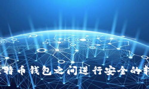 如何在比特币钱包之间进行安全的转账操作？