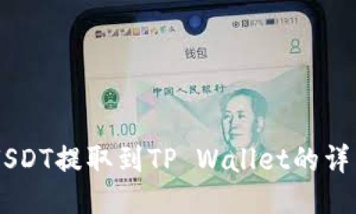 币安USDT提取到TP Wallet的详细指南