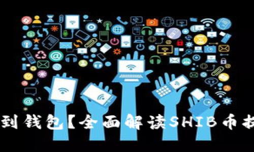 SHIB提币多久到钱包？全面解读SHIB币提币时间与流程