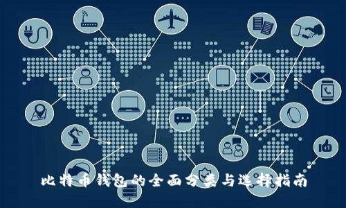 比特币钱包的全面分类与选择指南